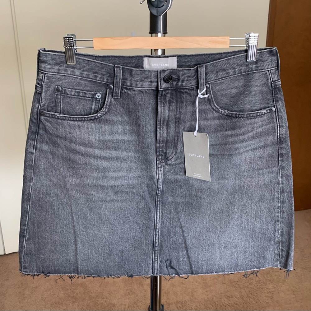 Everlane Denim Mini Skirt NWT 31